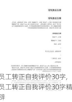 员工转正自我评价30字,员工转正自我评价30字精辟