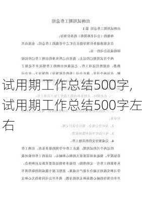 试用期工作总结500字,试用期工作总结500字左右