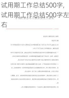 试用期工作总结500字,试用期工作总结500字左右