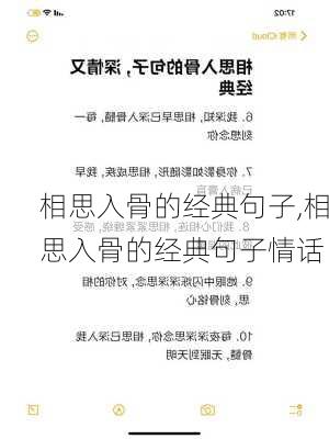 相思入骨的经典句子,相思入骨的经典句子情话